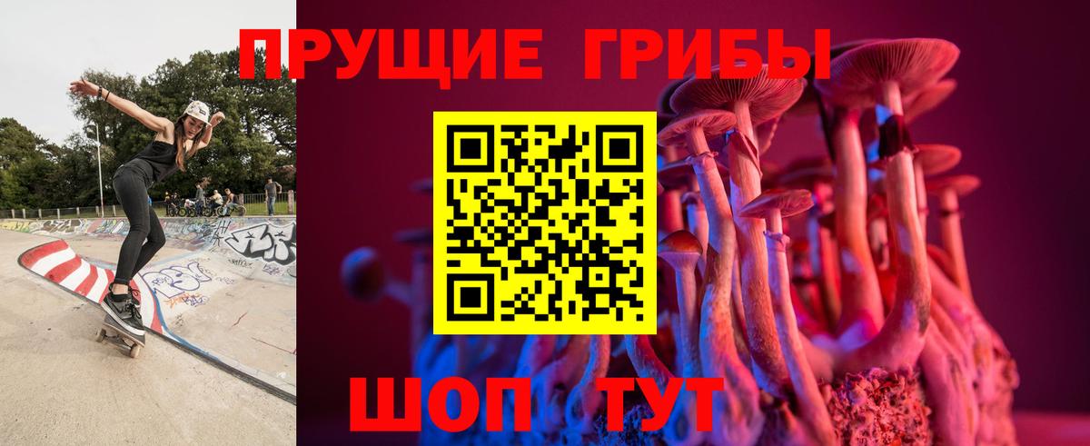 Псилоцибиновые грибы Cubensis Кингисепп