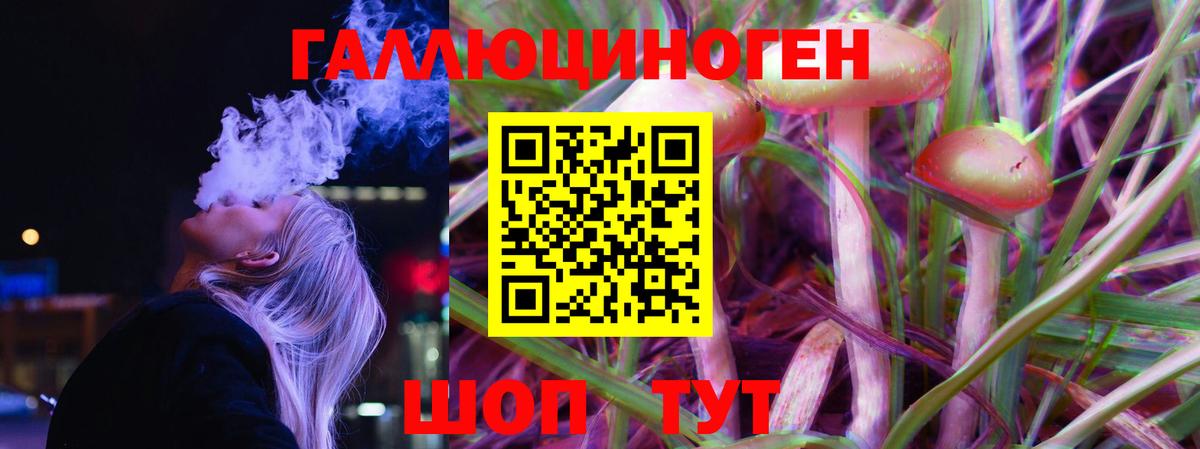 Кингисепп  Галлюциногенные грибы Magic Shrooms  Вход с VPN 